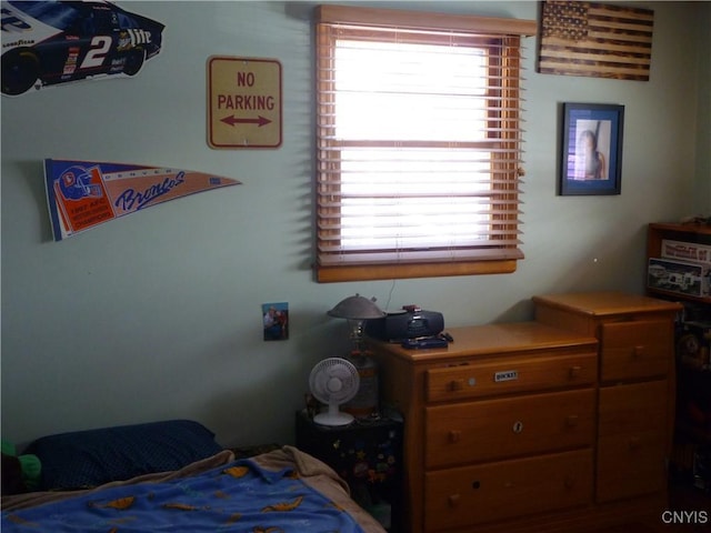 bedroom featuring multiple windows