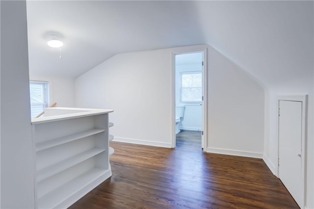 bonus room featuring vaulted ceiling, dark hardwood / wood-style floors, and a wealth of natural light