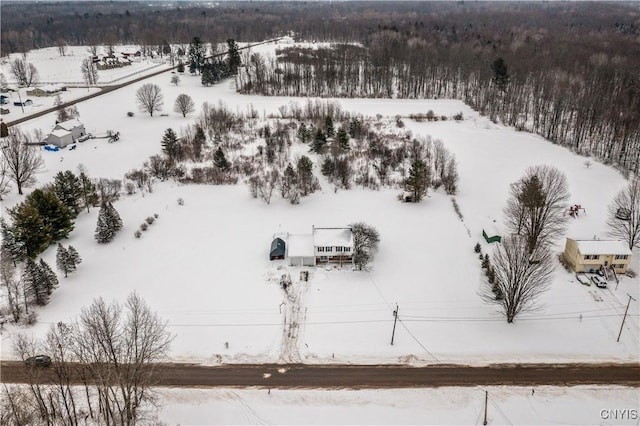 view of snowy aerial view