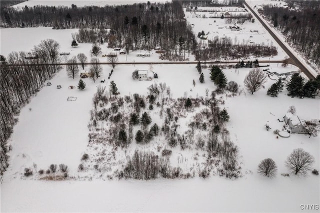 view of snowy aerial view