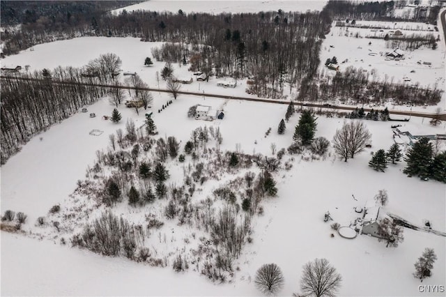 view of snowy aerial view