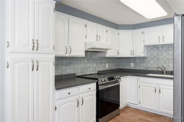 5293E Chestnut Ridge Rd Unit E, Orchard Park, NY 14127 - kitchen with stainless steel appliances, under cabinet range hood, dark countertops, and a sink