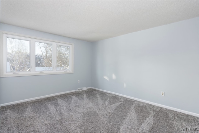 5293E Chestnut Ridge Rd Unit E, Orchard Park, NY 14127 - carpeted empty room with baseboards and a textured ceiling