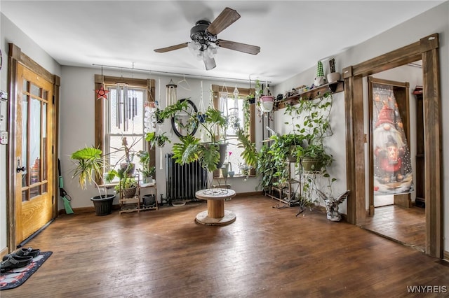 interior space featuring plenty of natural light, radiator, dark wood-type flooring, and ceiling fan