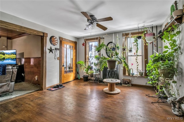 unfurnished room featuring hardwood / wood-style flooring and ceiling fan