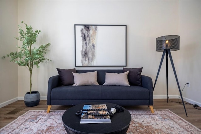 living room with wood-type flooring