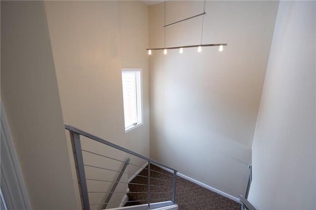 stairway with carpet floors