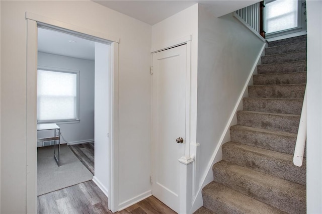 staircase featuring wood-type flooring