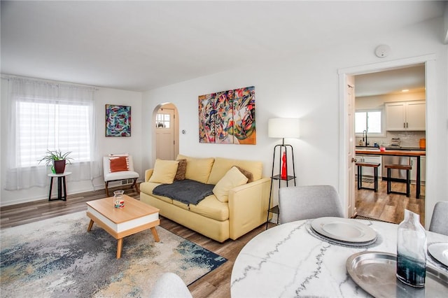 living room with wood-type flooring and sink