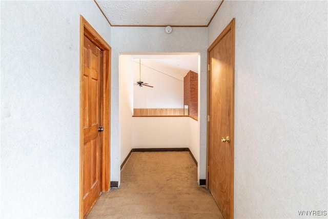 hall featuring light carpet, crown molding, and a textured ceiling