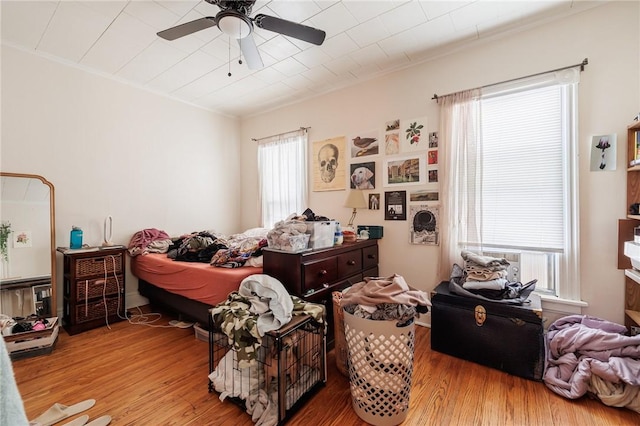 bedroom featuring crown molding, ceiling fan, and light wood-type flooring