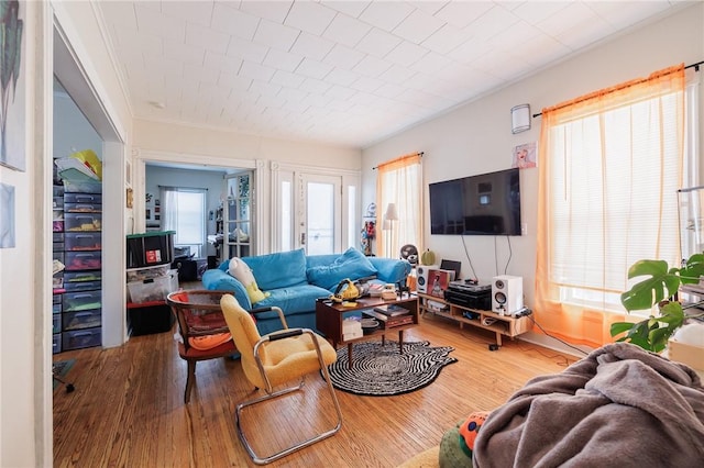 living room featuring hardwood / wood-style floors