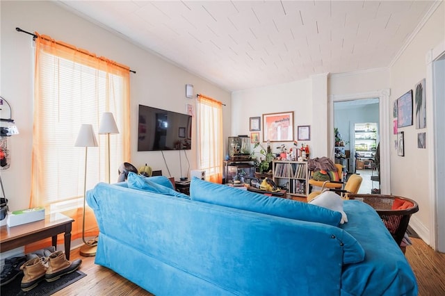 living room with crown molding and wood-type flooring