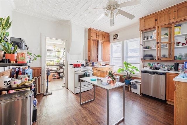 kitchen with dark wood-type flooring, dishwasher, gas range gas stove, and a wealth of natural light