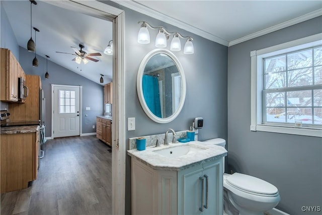 bathroom with vanity, vaulted ceiling, ceiling fan, toilet, and hardwood / wood-style floors