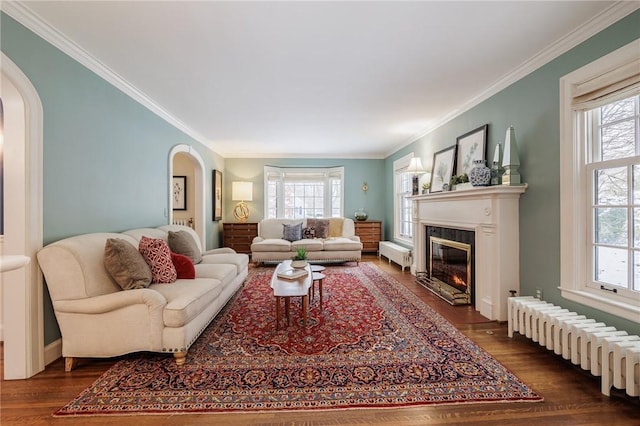 living room with dark hardwood / wood-style flooring, radiator heating unit, and a healthy amount of sunlight