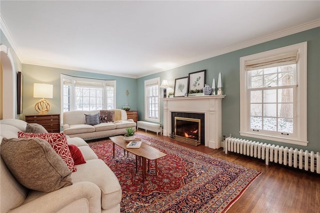 living room featuring radiator, ornamental molding, and hardwood / wood-style floors