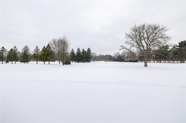 view of yard covered in snow