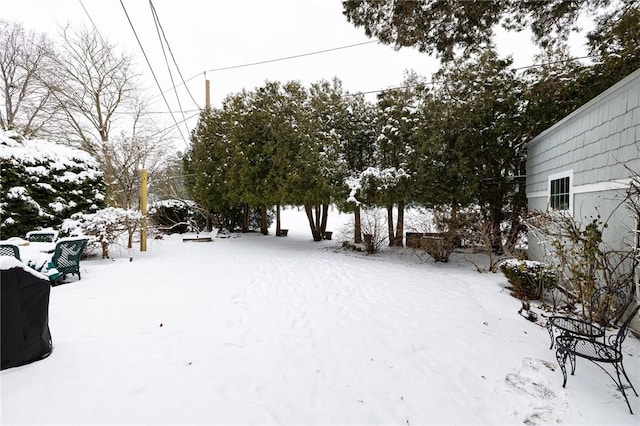 view of yard covered in snow