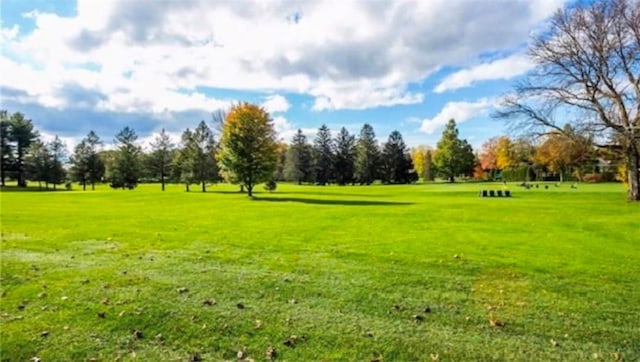 surrounding community featuring a yard