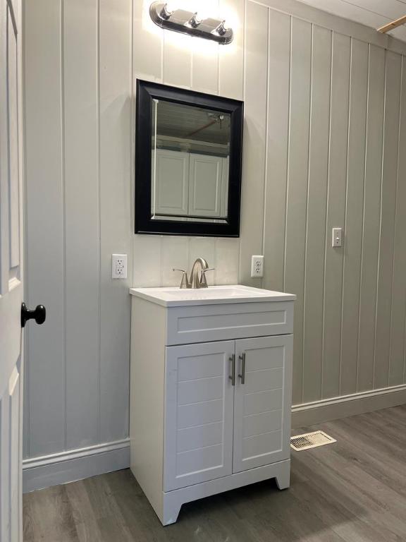 576 W High St, Erwin, NY 14870 - bathroom with wood finished floors, a decorative wall, vanity, baseboards, and visible vents