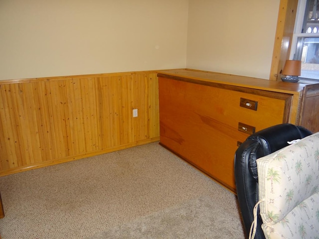 interior space with light carpet and wood walls