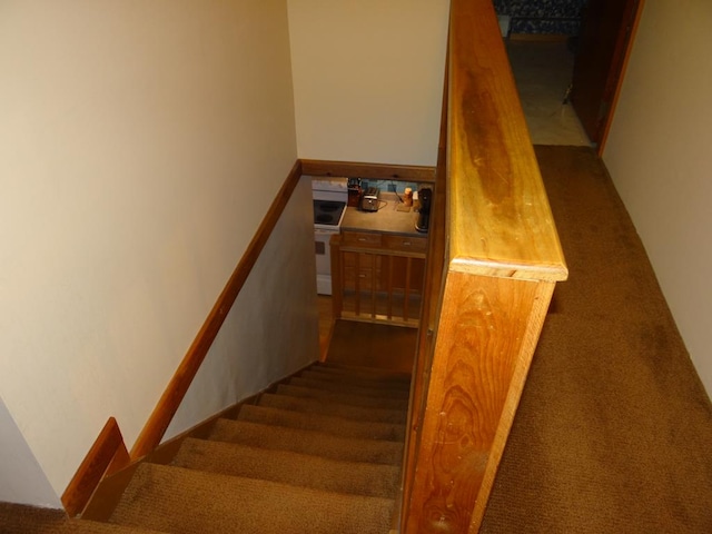 stairs featuring carpet flooring