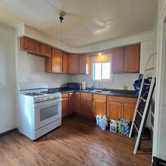 kitchen with dark hardwood / wood-style floors, sink, and white range with gas cooktop