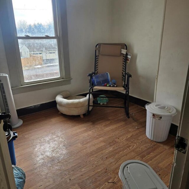 sitting room featuring hardwood / wood-style flooring