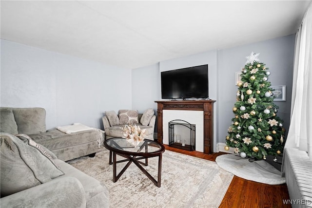 living room with radiator and hardwood / wood-style flooring