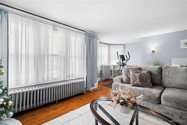 living room with hardwood / wood-style flooring, radiator, and a wealth of natural light