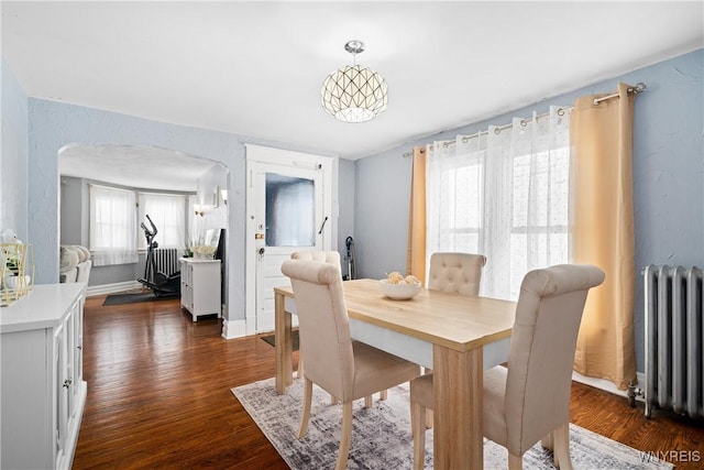 dining area featuring dark hardwood / wood-style floors and radiator