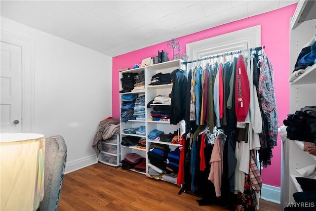 walk in closet with wood-type flooring