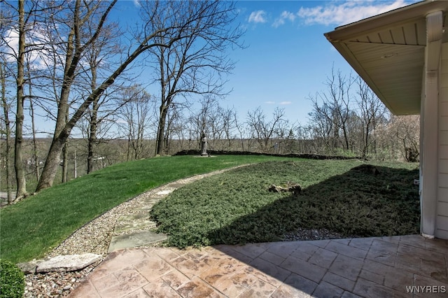 view of yard featuring a patio