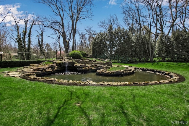 view of yard with a small pond