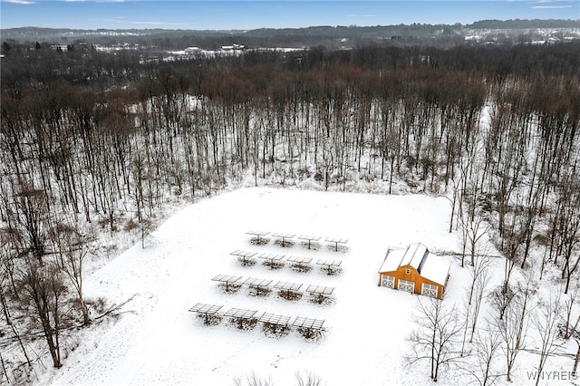 view of snowy aerial view