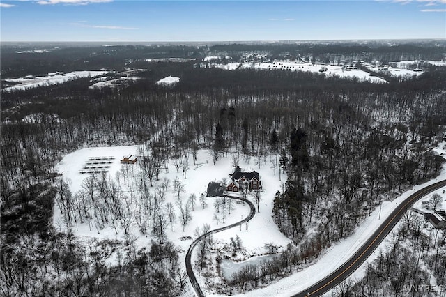 view of snowy aerial view