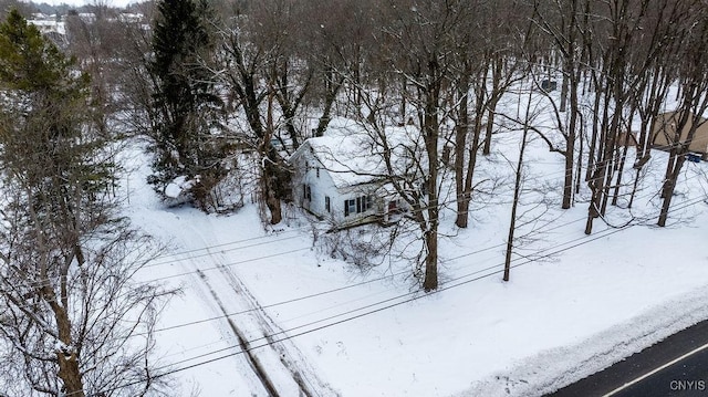 view of yard layered in snow