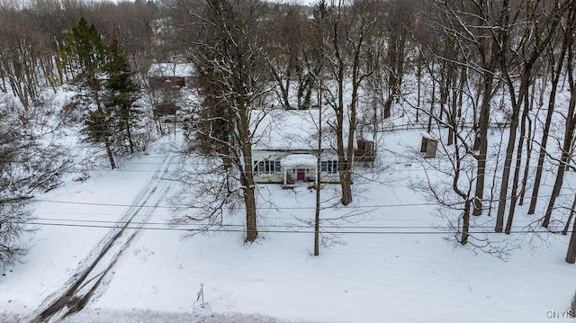 view of yard covered in snow