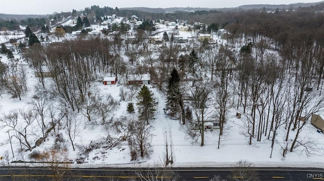 view of snowy aerial view