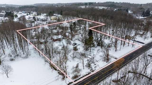 view of snowy aerial view