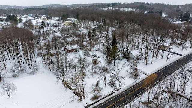 view of snowy aerial view