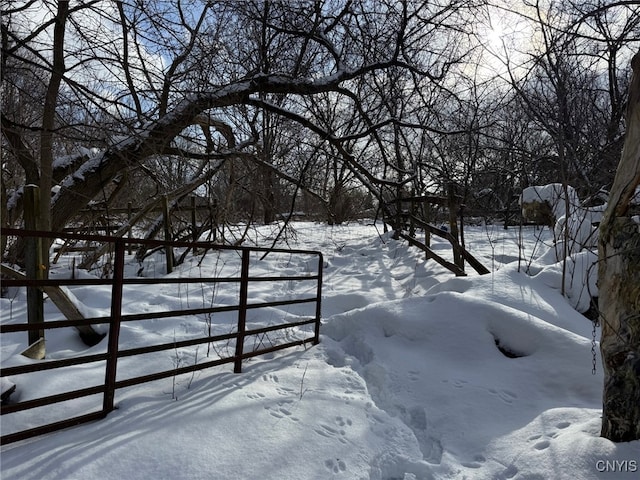 view of snowy yard