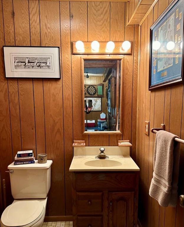 bathroom featuring toilet, wood walls, and vanity