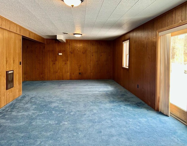 spare room featuring wooden walls and carpet floors