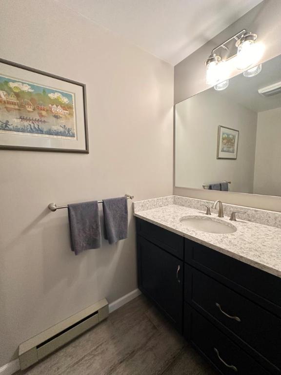 bathroom featuring baseboard heating and vanity