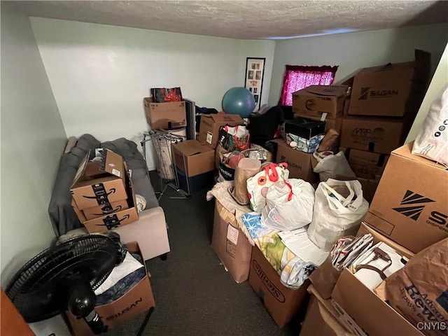 view of storage room