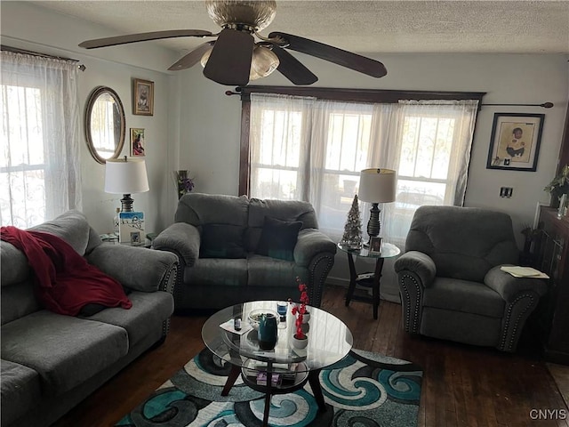 living room featuring plenty of natural light, dark hardwood / wood-style floors, and a textured ceiling