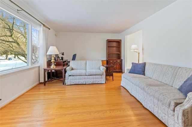 living room featuring light wood-type flooring