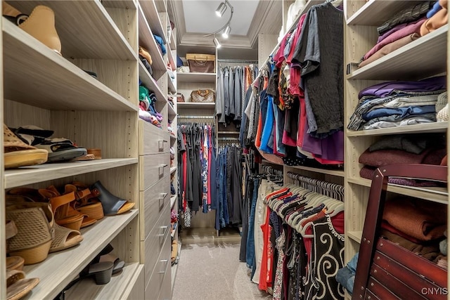 view of spacious closet